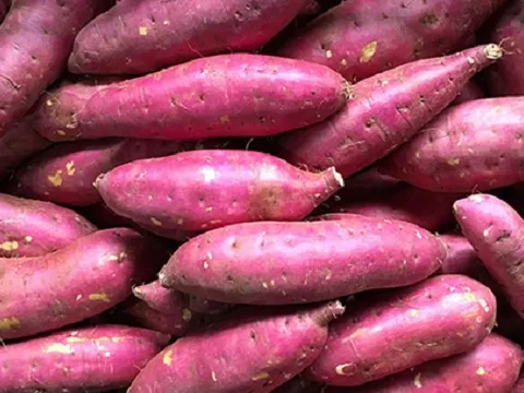 Khoai tây, khoai lang, ngô, bí đỏ và đậu Hà Lan loại nào nhiều dưỡng chất tốt cho sức khỏe?