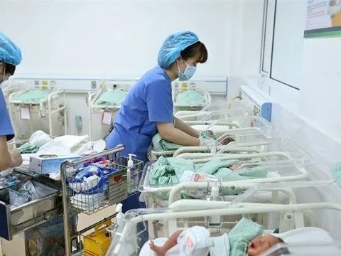 Giữ mức sinh thay thế: Cần can thiệp sớm trước xu hướng sinh thấp kéo dài