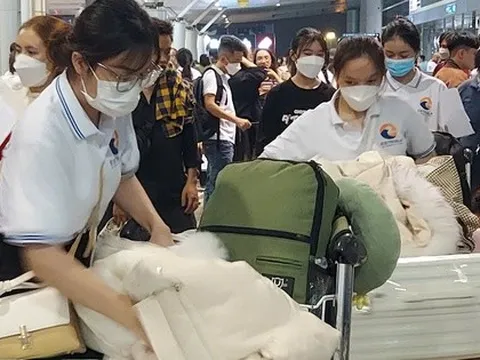 Năm 2026, người lao động đi làm việc ở nước ngoài được hỗ trợ thế nào?