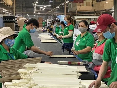 Hơn 40 doanh nghiệp gỗ nếu bị áp thuế chống bán phá giá: Nguy cơ phá sản hàng loạt